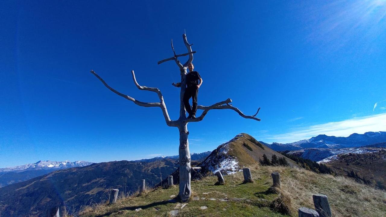 Birnbaum Chalets Grossarl Exteriör bild